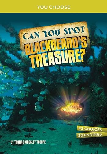 Cover image for Can You Spot Blackbeard's Treasure