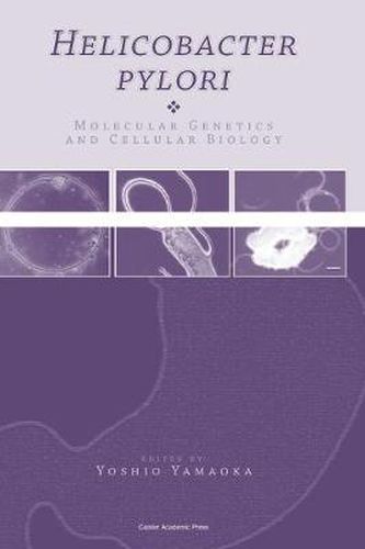 Cover image for Helicobacter Pylori: Molecular Genetics and Cellular Biology