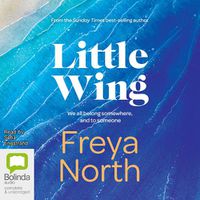 Cover image for Little Wing