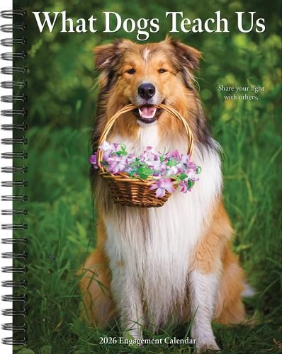 Cover image for What Dogs Teach Us 2026 Engagement Calendar