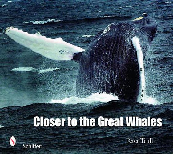 Cover image for Closer to the Great Whales