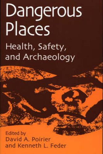 Cover image for Dangerous Places: Health, Safety, and Archaeology