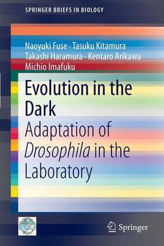 Cover image for Evolution in the Dark: Adaptation of Drosophila in the Laboratory