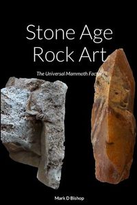 Cover image for Stone Age Rock Art