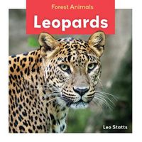 Cover image for Leopards