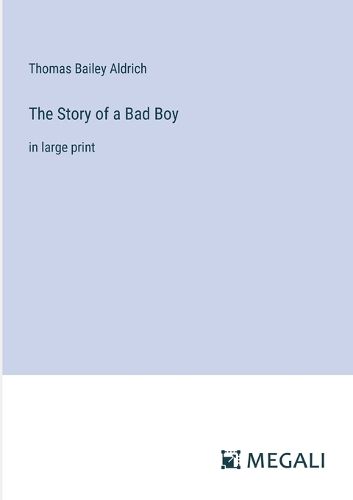 Cover image for The Story of a Bad Boy