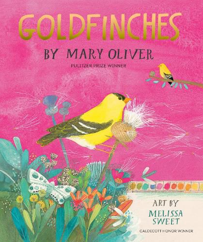 Cover image for Goldfinches