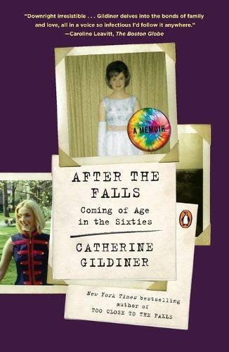 Cover image for After the Falls: Coming of Age in the Sixties