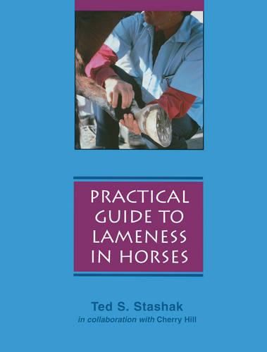 Cover image for A Practical Guide to Lameness in Horses