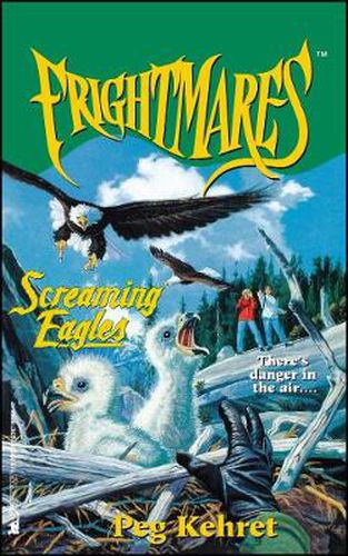 Cover image for Screaming Eagles