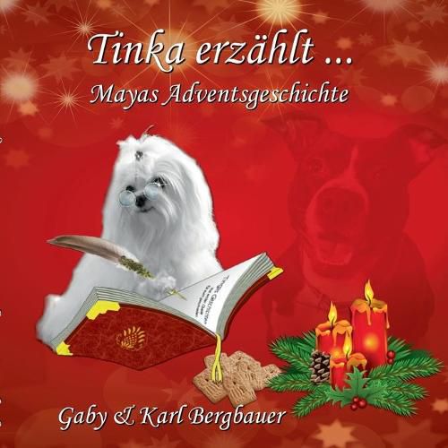 Cover image for Tinka erzahlt ...: Majas Adventsgeschichte