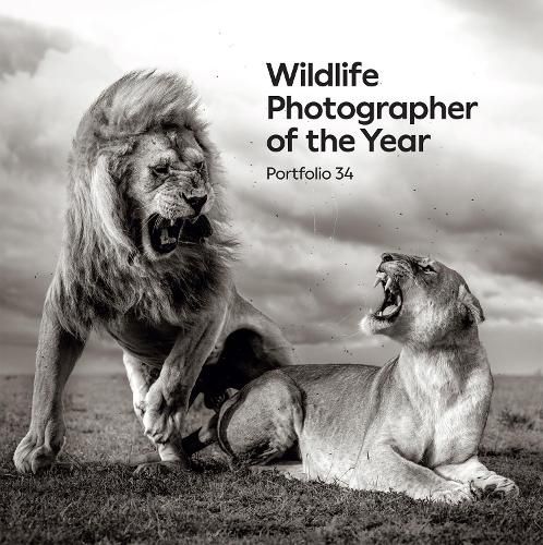 Cover image for Wildlife Photographer of the Year: Portfolio 34