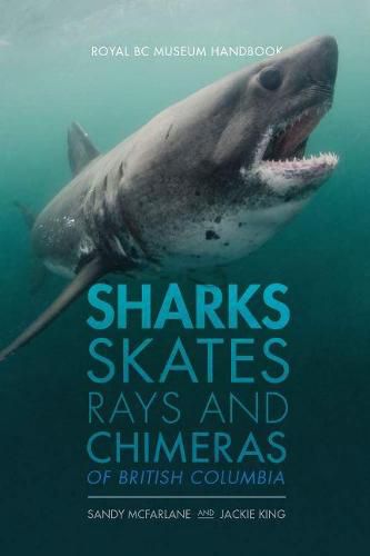 Cover image for Sharks, Skates, Rays and Chimeras of British Columbia