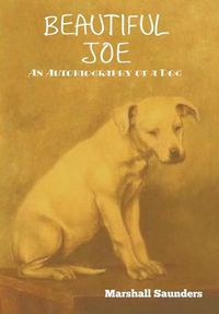 Cover image for Beautiful Joe