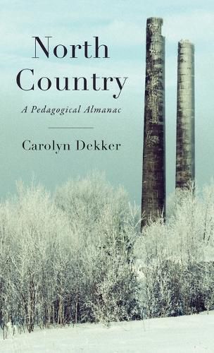 Cover image for North Country