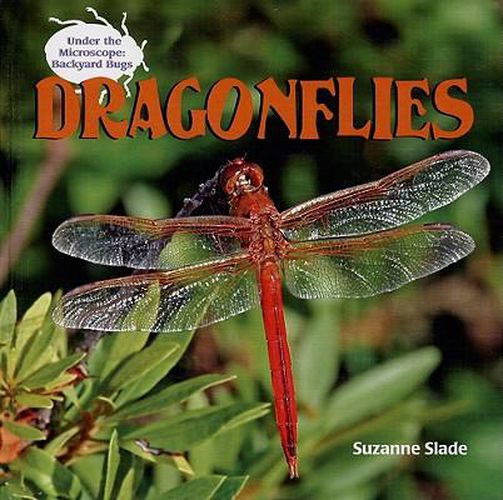 Dragonflies