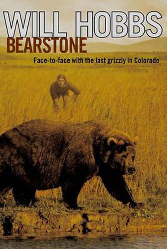 Cover image for Bearstone