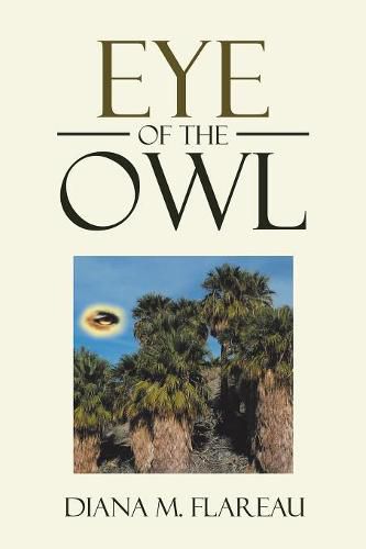 Cover image for Eye of the Owl