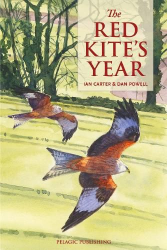 The Red Kite's Year