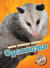 Cover image for Opossums