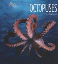 Cover image for Octopuses