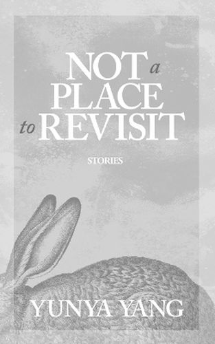 Cover image for Not a Place to Revisit