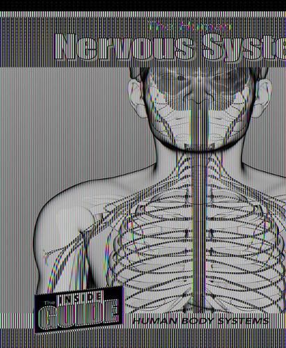 Cover image for The Human Nervous System