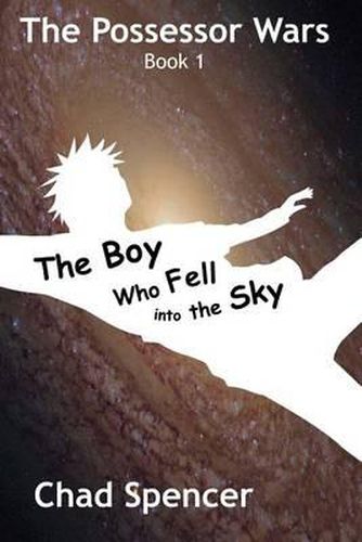 Cover image for The Boy Who Fell into the Sky