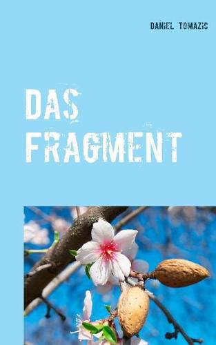 Cover image for Das Fragment: Roman