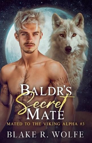 Cover image for Baldr's Secret Mate