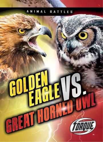 Golden Eagle vs. Great Horned Owl