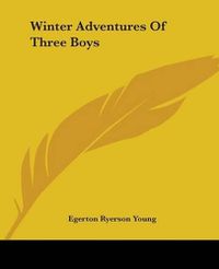 Cover image for Winter Adventures Of Three Boys