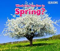 Cover image for What Can You See In Spring?