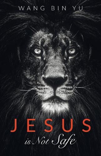 Cover image for Jesus Is Not Safe