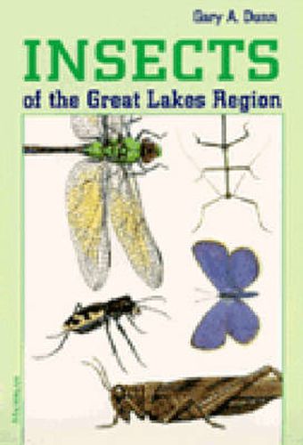 Cover image for Insects of the Great Lakes Region