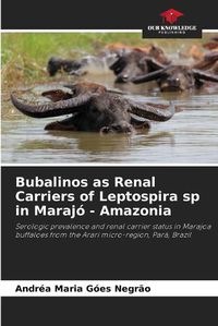 Cover image for Bubalinos as Renal Carriers of Leptospira sp in Maraj? - Amazonia