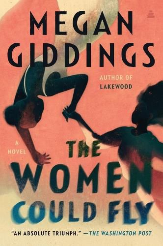 Cover image for The Women Could Fly