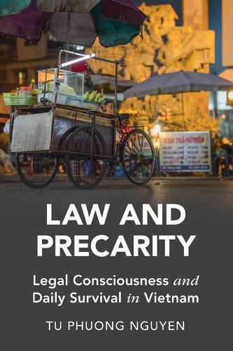 Cover image for Law and Precarity