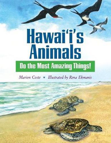 Cover image for Hawaii's Animals Do the Most Amazing Things