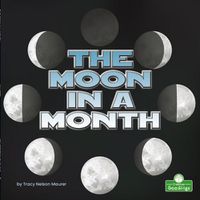 Cover image for The Moon in a Month