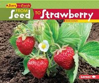 Cover image for From Seed to Stawberry