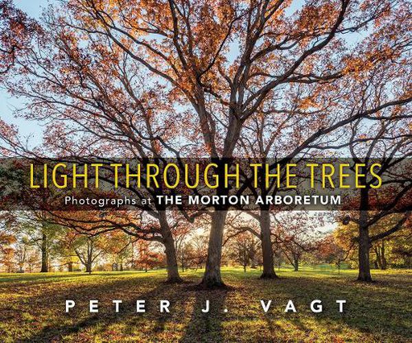 Cover image for Light Through the Trees: Photographs at The Morton Arboretum