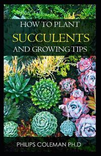 Cover image for How to Plant Succulents and Growing Tips