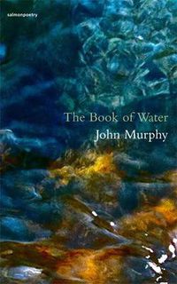 Cover image for The Book of Water