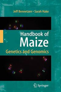 Cover image for Handbook of Maize: Genetics and Genomics