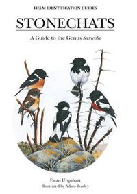 Cover image for Stonechats
