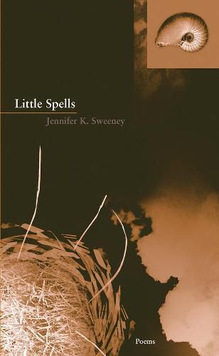 Cover image for Little Spells