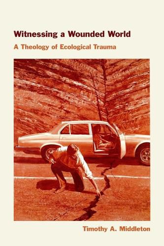 Cover image for Witnessing a Wounded World