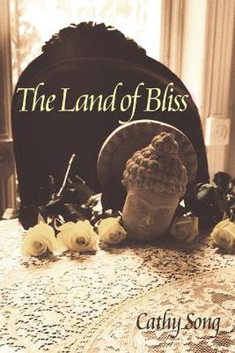 Cover image for Land Of Bliss, The