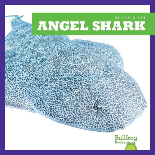 Cover image for Angel Shark